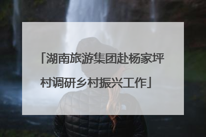 湖南旅游集团赴杨家坪村调研乡村振兴工作