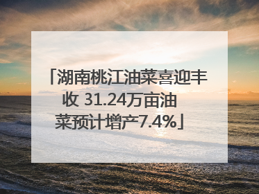 湖南桃江油菜喜迎丰收 31.24万亩油菜预计增产7.4%