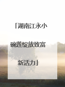 湖南江永小碗莲绽放致富新活力