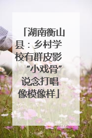 湖南衡山县：乡村学校有群皮影“小戏骨” 说念打唱像模像样