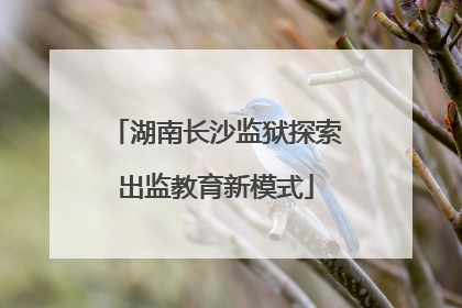 湖南长沙监狱探索出监教育新模式