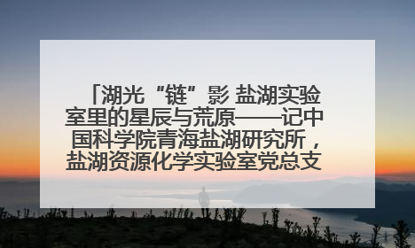 湖光“链”影 盐湖实验室里的星辰与荒原——记中国科学院青海盐湖研究所，盐湖资源化学实验室党总支书记、副主任刘忠