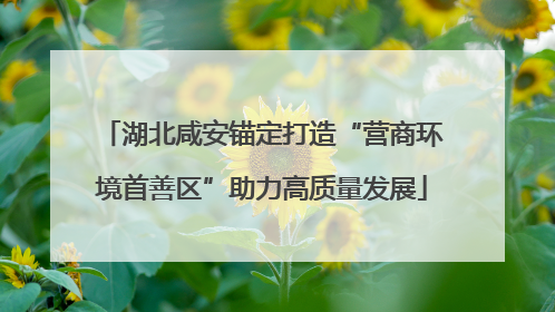 湖北咸安锚定打造“营商环境首善区”助力高质量发展