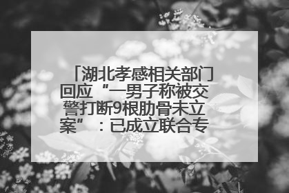 湖北孝感相关部门回应“一男子称被交警打断9根肋骨未立案”：已成立联合专班开展工作
