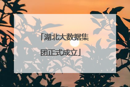 湖北大数据集团正式成立