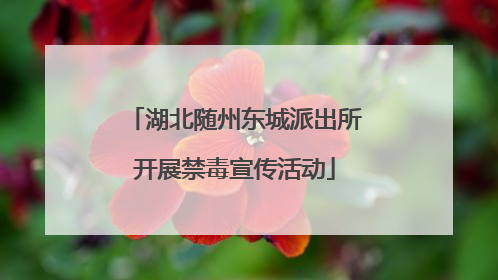 湖北随州东城派出所开展禁毒宣传活动