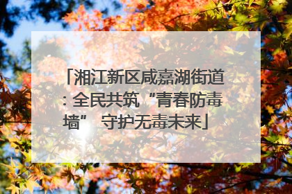 湘江新区咸嘉湖街道：全民共筑“青春防毒墙” 守护无毒未来