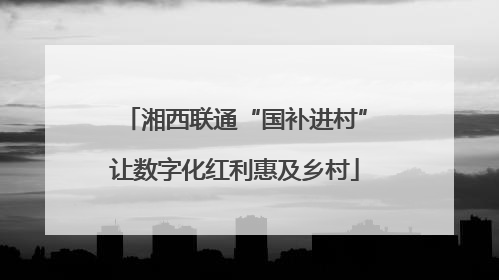 湘西联通“国补进村”让数字化红利惠及乡村