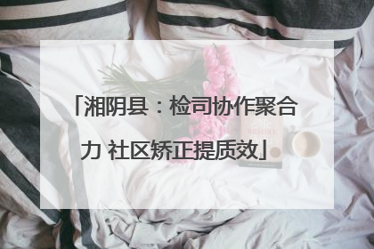 湘阴县：检司协作聚合力 社区矫正提质效