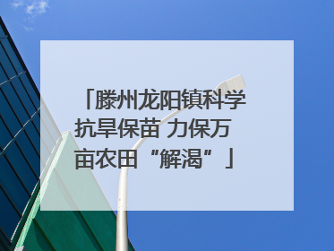 滕州龙阳镇科学抗旱保苗 力保万亩农田“解渴”