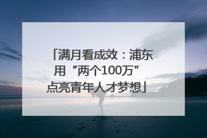 满月看成效：浦东用“两个100万”点亮青年人才梦想
