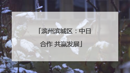 滨州滨城区：中日合作 共赢发展