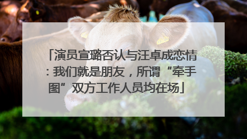 演员宣璐否认与汪卓成恋情：我们就是朋友，所谓“牵手图”双方工作人员均在场