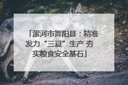 漯河市舞阳县：精准发力“三夏”生产 夯实粮食安全基石