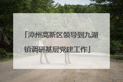 漳州高新区领导到九湖镇调研基层党建工作