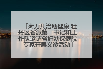 菏力共治助健康 牡丹区省派第一书记和工作队邀请省妇幼保健院专家开展义诊活动