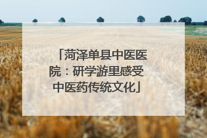 菏泽单县中医医院：研学游里感受中医药传统文化