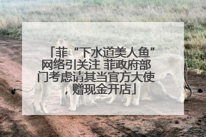 菲“下水道美人鱼”网络引关注 菲政府部门考虑请其当官方大使，赠现金开店