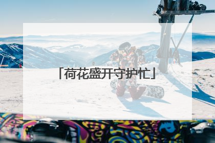荷花盛开守护忙