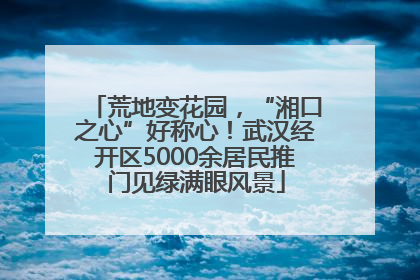 荒地变花园，“湘口之心”好称心！武汉经开区5000余居民推门见绿满眼风景