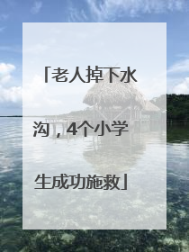 老人掉下水沟，4个小学生成功施救