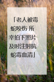 老人被毒蛇咬伤 所幸拍下照片及时注射抗蛇毒血清