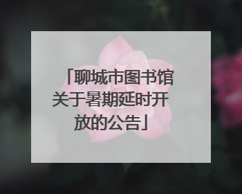 聊城市图书馆关于暑期延时开放的公告