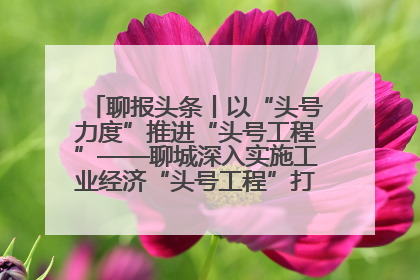 聊报头条丨以“头号力度”推进“头号工程”——聊城深入实施工业经济“头号工程”打造经济发展强引擎