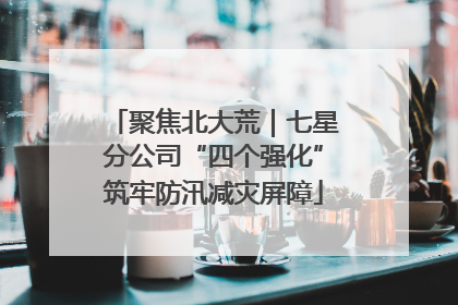 聚焦北大荒｜七星分公司“四个强化”筑牢防汛减灾屏障