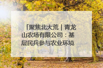 聚焦北大荒｜青龙山农场有限公司：基层民兵参与农业环境综合治理显效