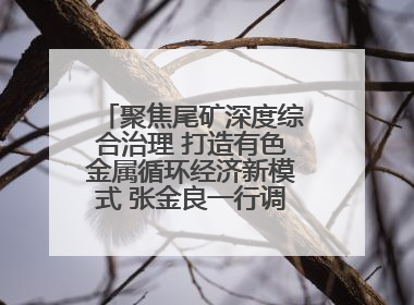 聚焦尾矿深度综合治理 打造有色金属循环经济新模式 张金良一行调研栾川县尾矿库综合治理工作