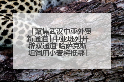 聚焦武汉中亚外贸新通道│中亚班列开辟双通道 哈萨克斯坦饲用小麦将抵鄂