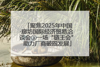 聚焦2025年中国·廊坊国际经济贸易洽谈会③一场“链主会” 助力厂商破圈发展