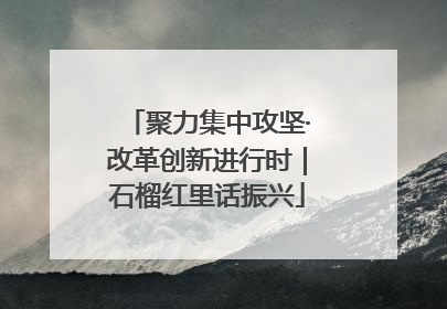 聚力集中攻坚·改革创新进行时｜石榴红里话振兴