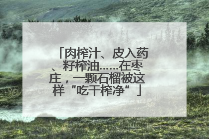肉榨汁、皮入药、籽榨油……在枣庄，一颗石榴被这样“吃干榨净”