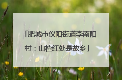 肥城市仪阳街道李南阳村：山楂红处是故乡