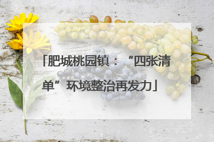 肥城桃园镇：“四张清单”环境整治再发力