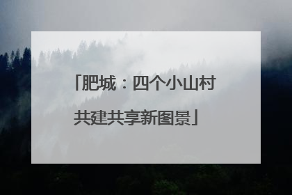 肥城：四个小山村共建共享新图景