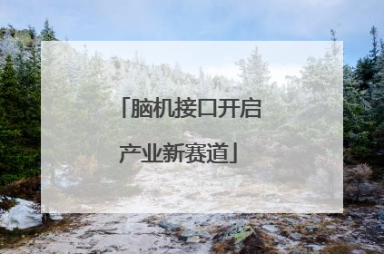 脑机接口开启产业新赛道