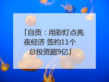 自贡：用彩灯点亮夜经济 签约11个总投资超9亿