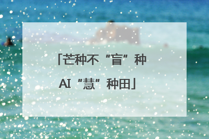 芒种不“盲”种 AI“慧”种田