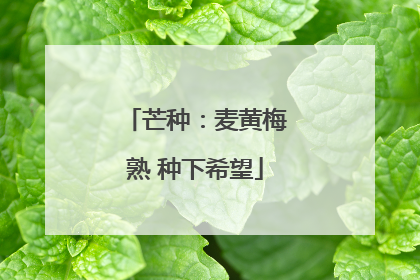 芒种：麦黄梅熟 种下希望