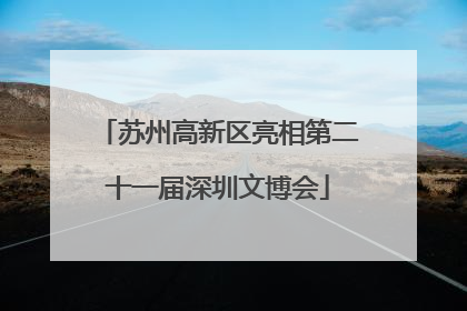 苏州高新区亮相第二十一届深圳文博会