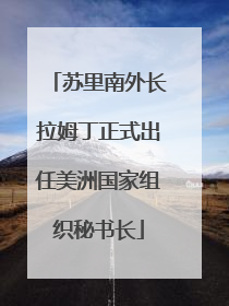 苏里南外长拉姆丁正式出任美洲国家组织秘书长