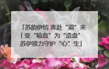 苏韵伊情 奔赴“疆”来丨变“输血”为“造血” 苏伊接力守护“心”生