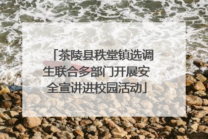 茶陵县秩堂镇选调生联合多部门开展安全宣讲进校园活动