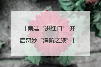 萌娃“进红门” 开启奇妙“消防之旅”