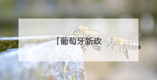 葡萄牙新政府宣誓就职
