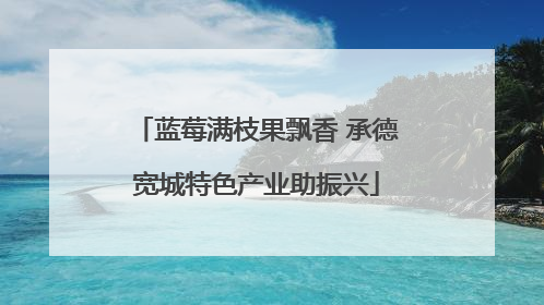 蓝莓满枝果飘香 承德宽城特色产业助振兴