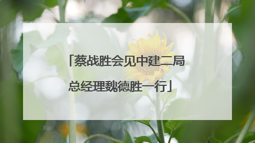 蔡战胜会见中建二局总经理魏德胜一行